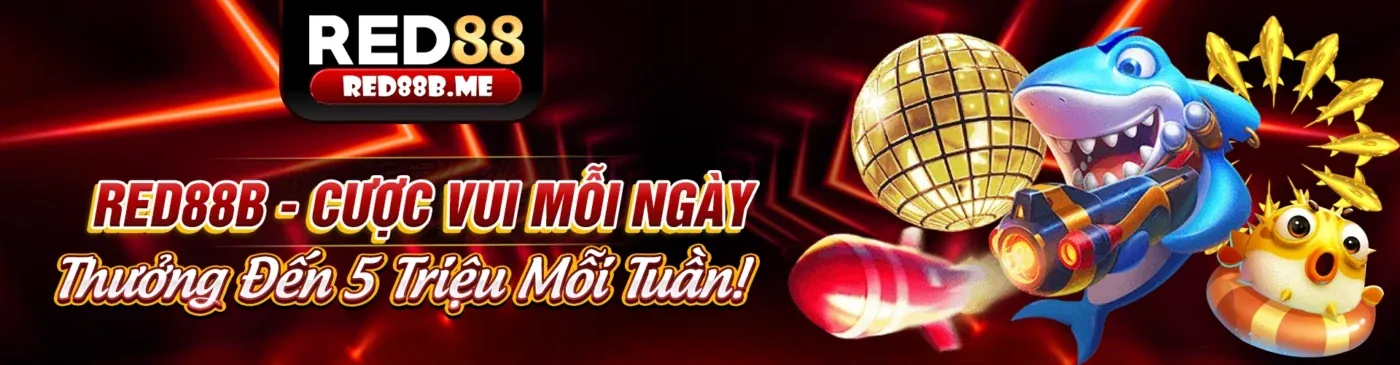 Hình ảnh tổng quan về tin tức f8bet và các ưu đãi hấp dẫn